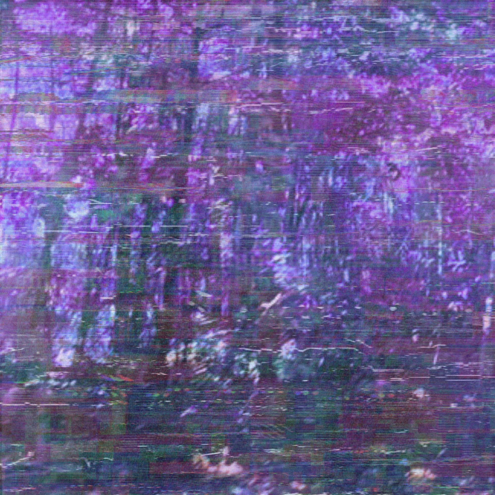 limit of reality